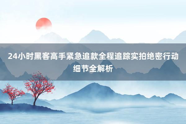 24小时黑客高手紧急追款全程追踪实拍绝密行动细节全解析