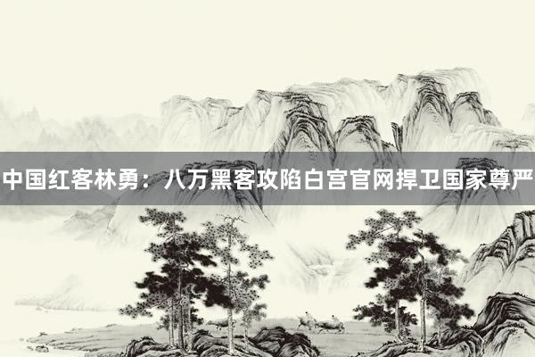 中国红客林勇：八万黑客攻陷白宫官网捍卫国家尊严